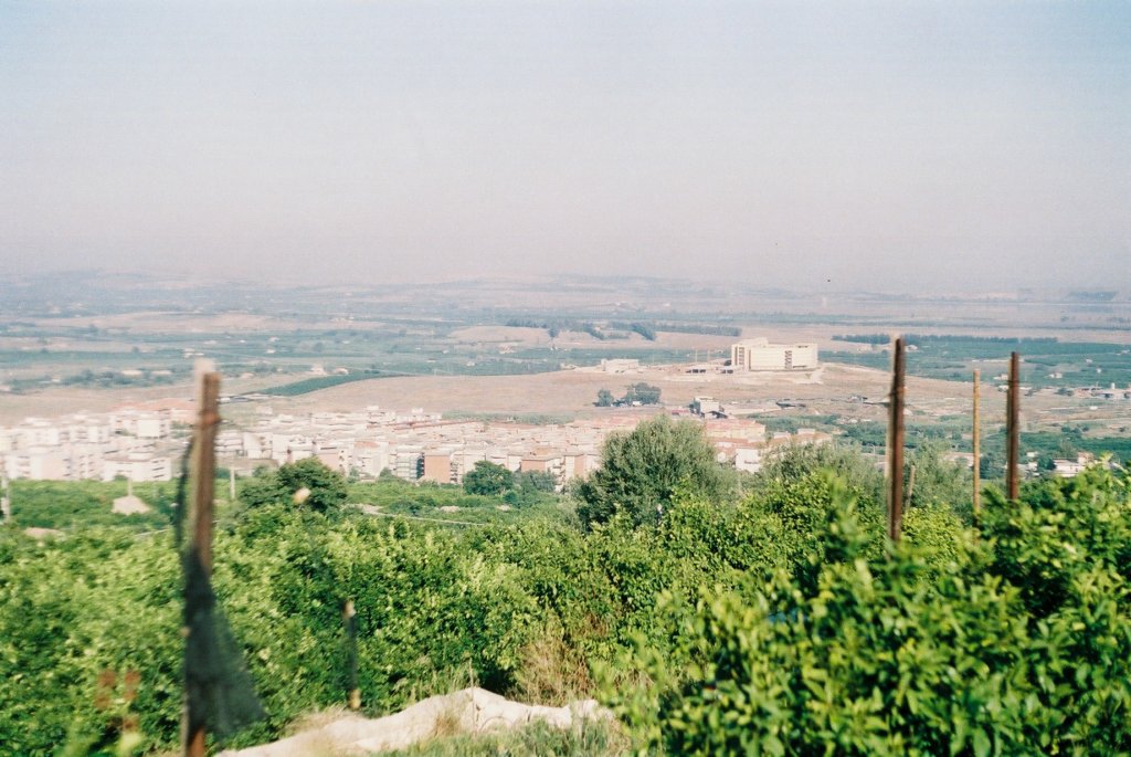 f1000019.jpg