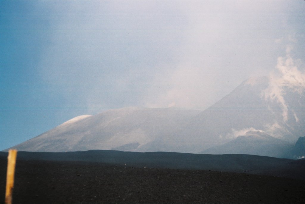 f1010006.jpg