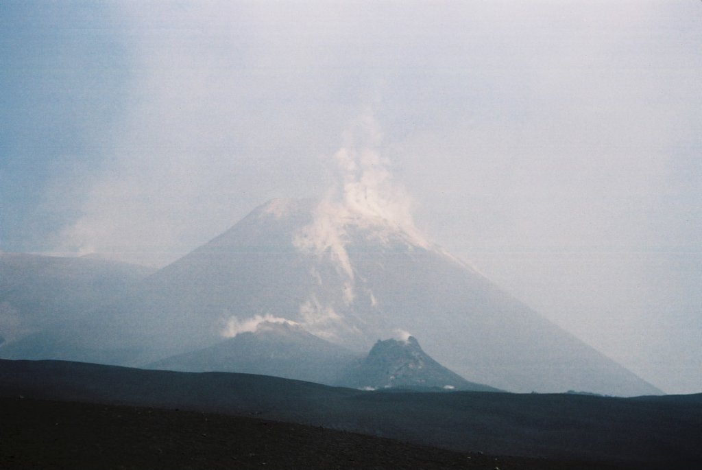 f1010007.jpg