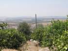 p8010190_small.jpg