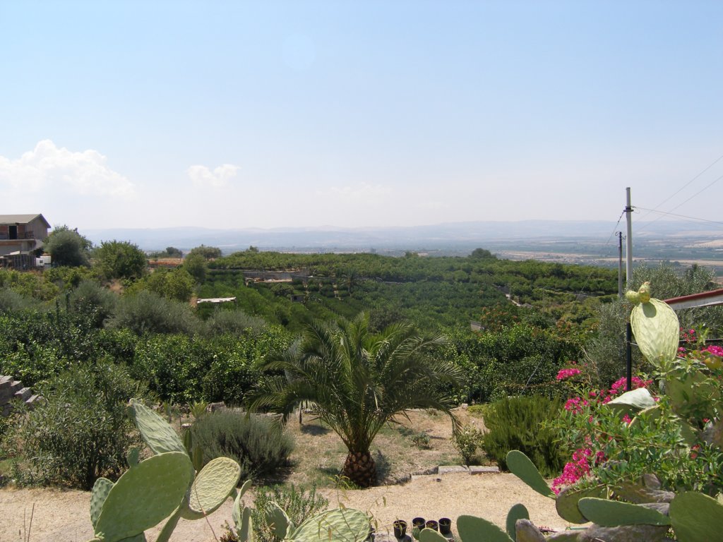 p8010200.jpg