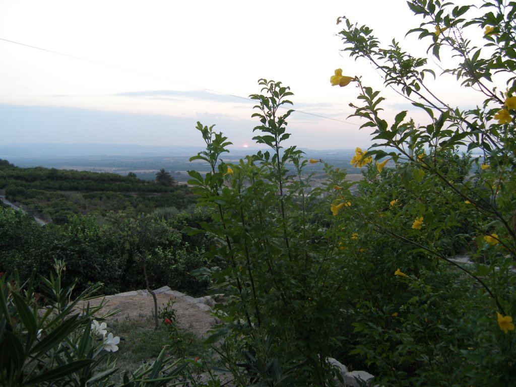 p8010291.jpg