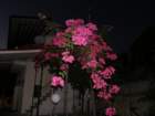 p7310008_small.jpg
