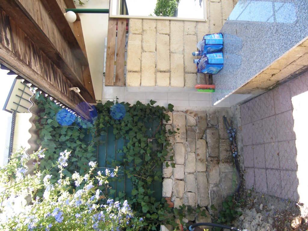 p8010046.jpg