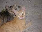 p8020110_small.jpg