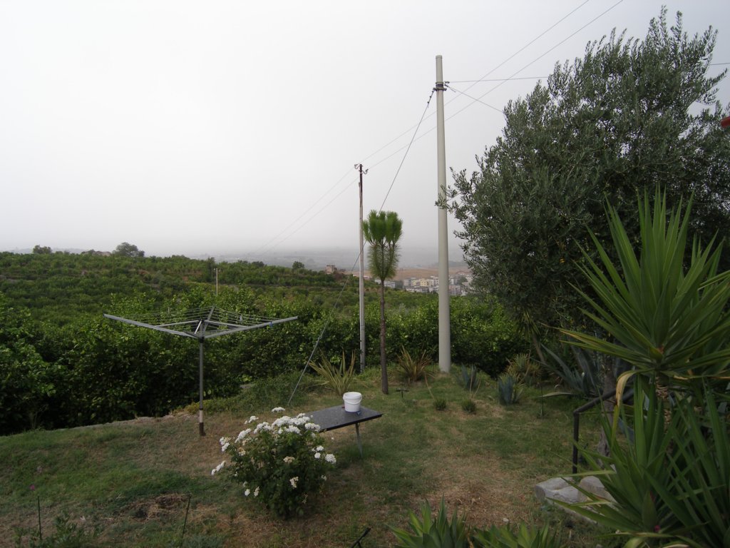 p8110276.jpg