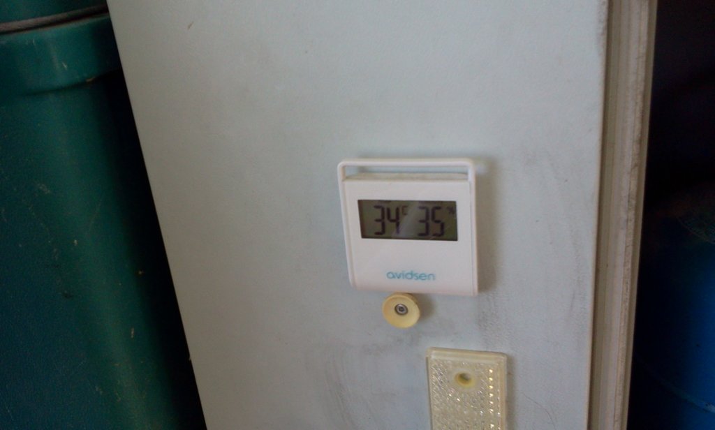photo22.jpg